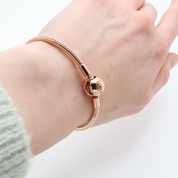 Pandora Moments Sterling Silver 14k Rose Gold Platted Charm Bracelet - Picture 4 of 5